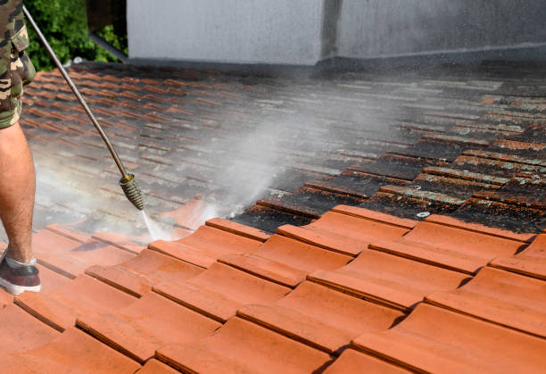 Best Roof Pressure Washing  in Whitestown, IN