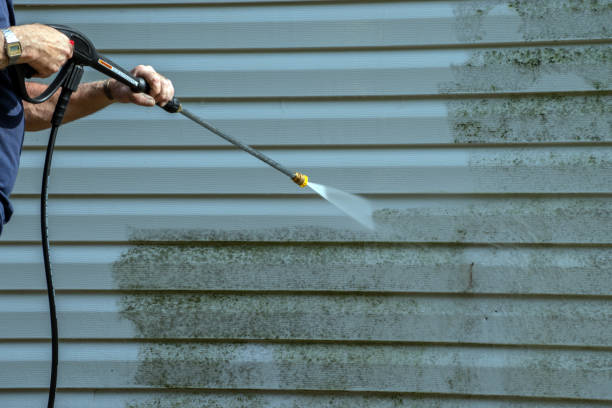 Best Pressure Washing Company Near Me  in Whitestown, IN